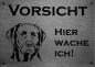 Preview: Labrador Schild